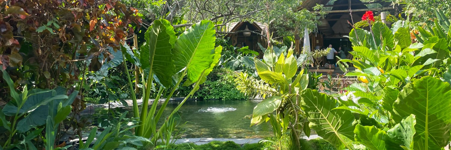 Marilula's profile banner image