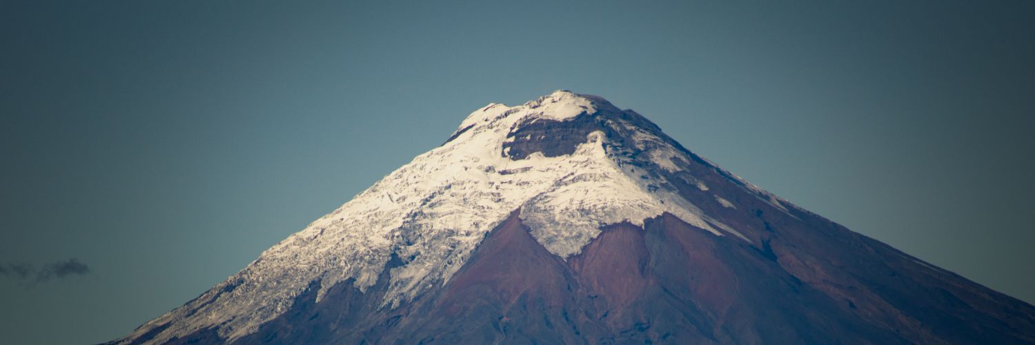 floro2199's profile banner image
