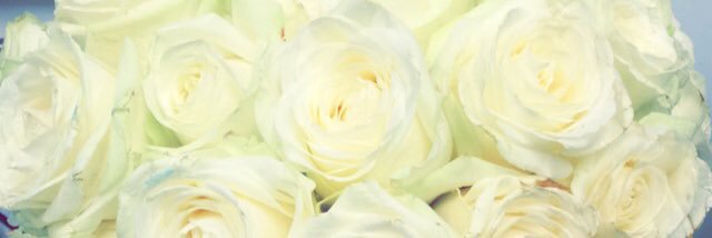 Rose Daniel banner