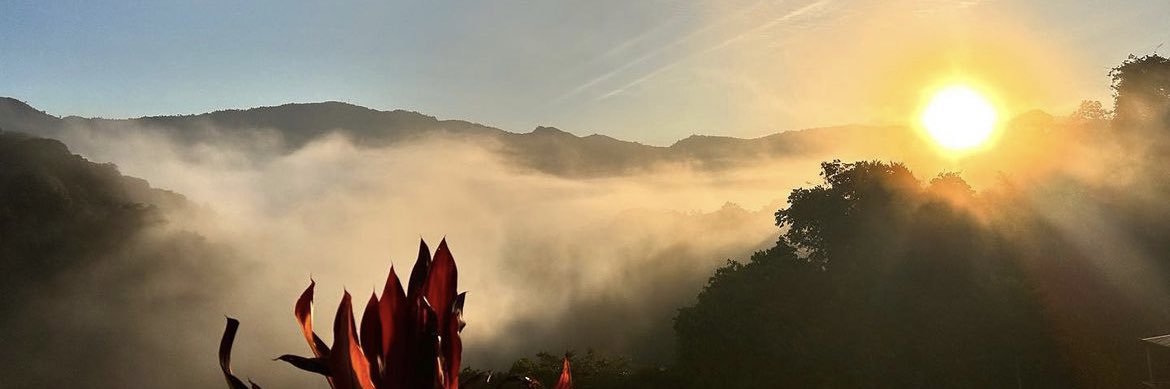stephhfernandez's profile banner image