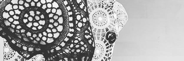 SimoneHanebaum's profile banner image