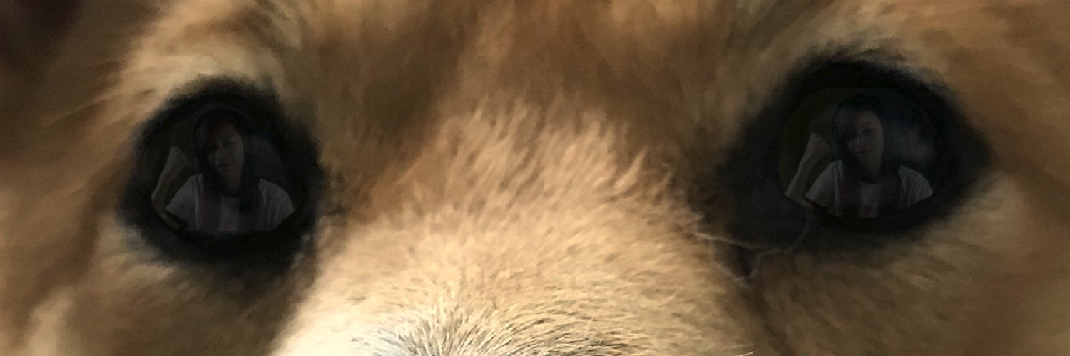 80n1n's profile banner image