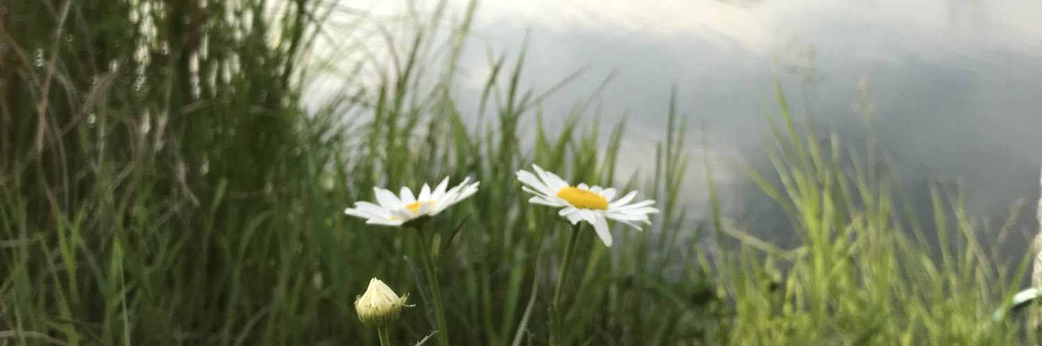 micgreen's profile banner image