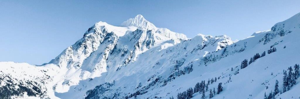 alysfitz's profile banner image
