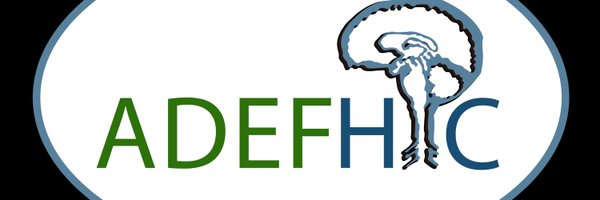 adefhic Profile Banner