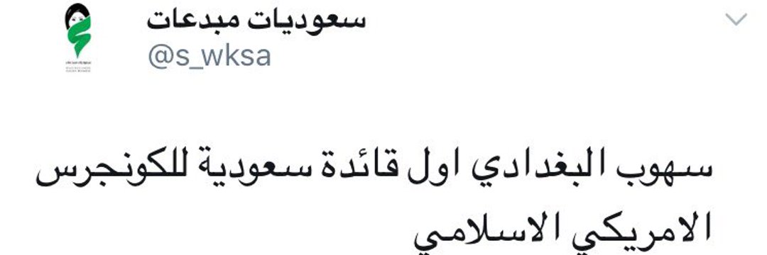 Sohoub Baghdadi سهوب بغدادي 🇸🇦 banner