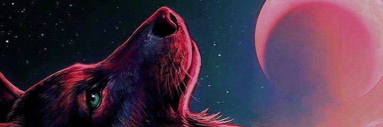 Desoanny's profile banner image