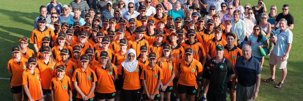 ISE Scorpions banner