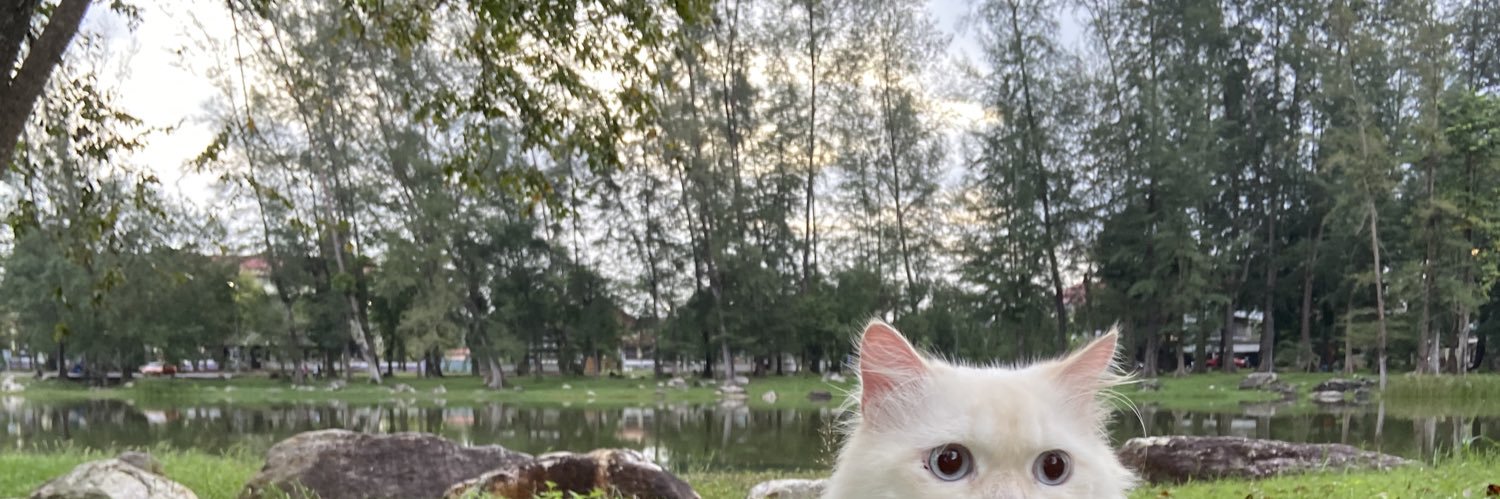 n_sonut's profile banner image