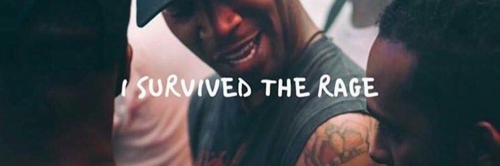 🦍 banner