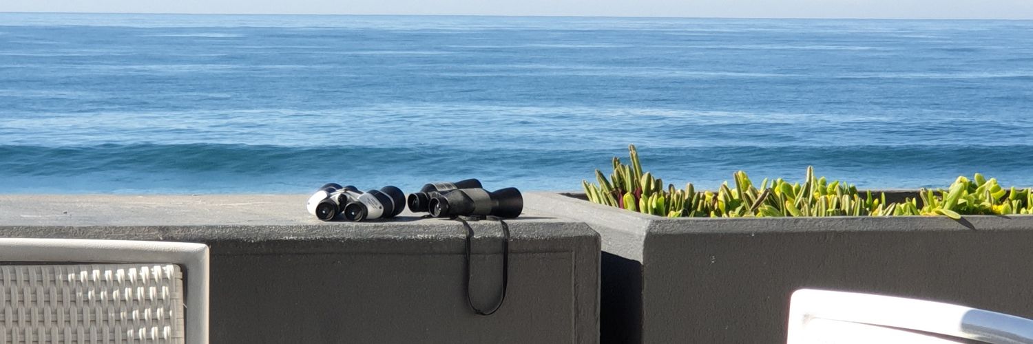 Lethab0_s's profile banner image