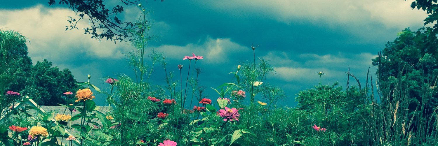 JessB1599's profile banner image