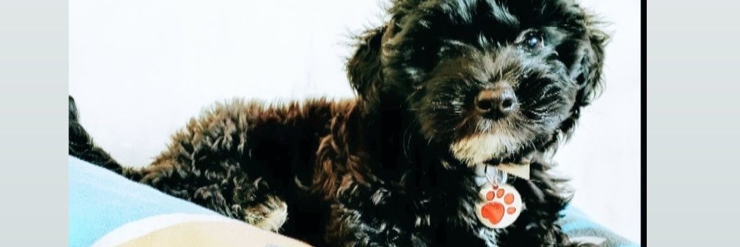 kotty__'s profile banner image
