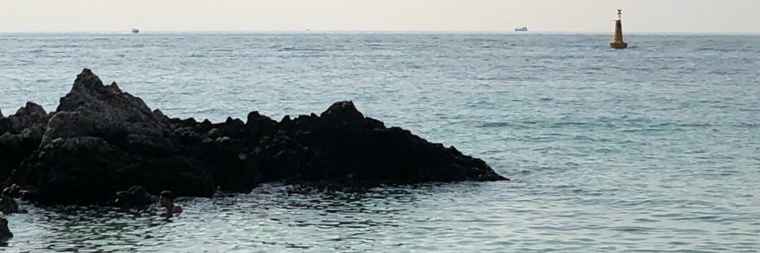 llapost's profile banner image
