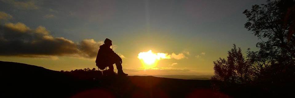 diogoroque's profile banner image
