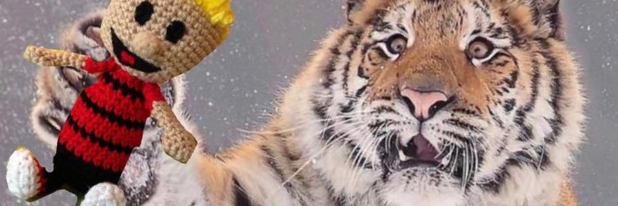 Nixton Valentine banner