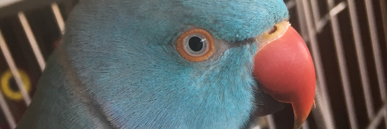 HelenaRuggiero's profile banner image