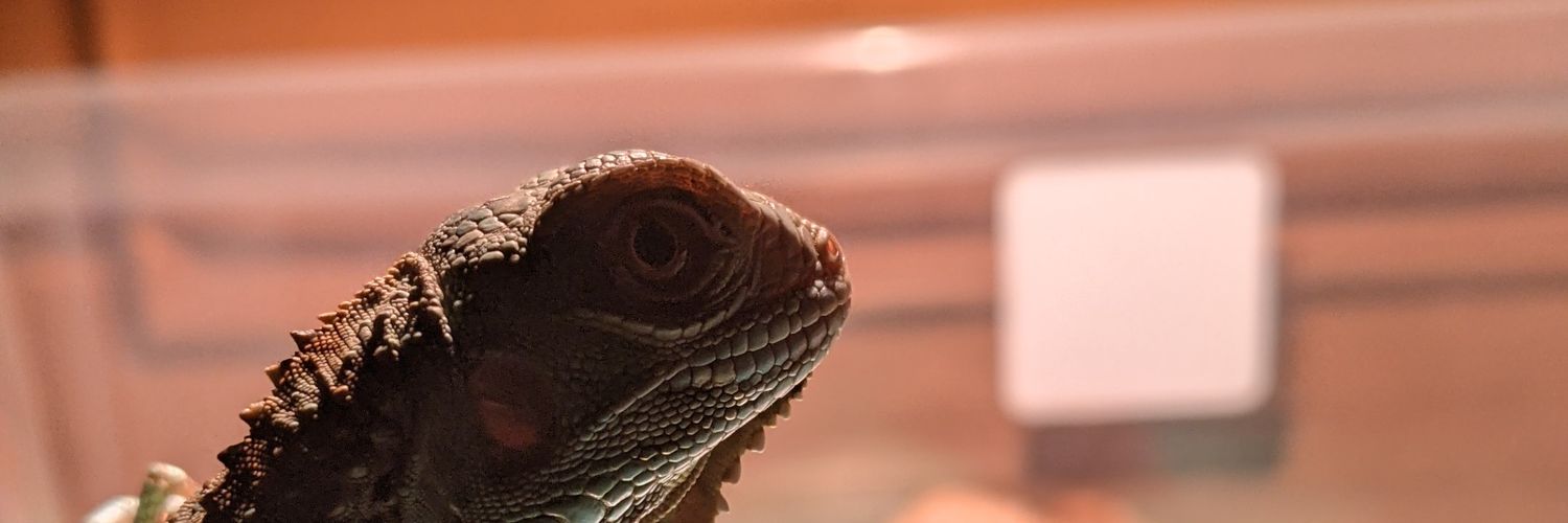 ghgehaa's profile banner image