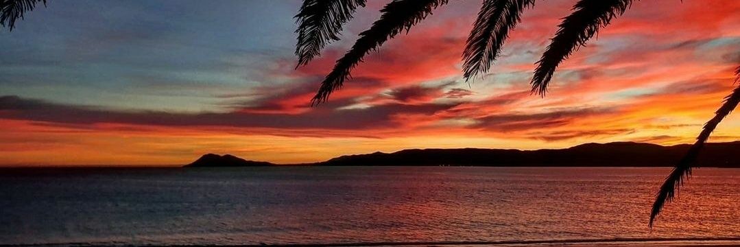 Marta Rodríguez Font banner