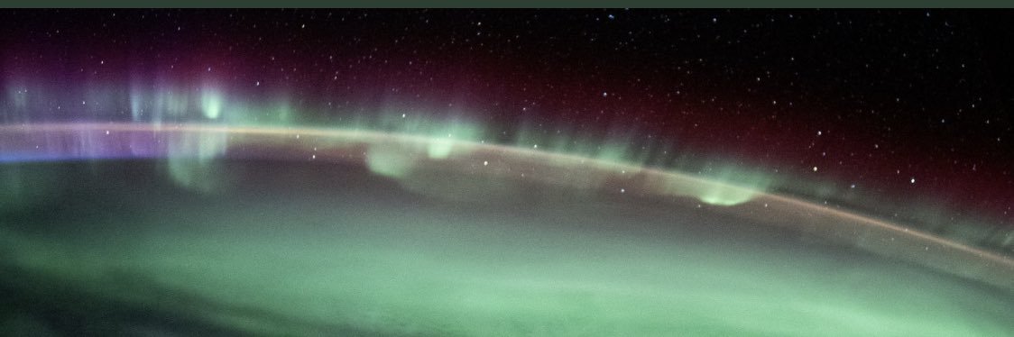 Rhonda Little, MD banner