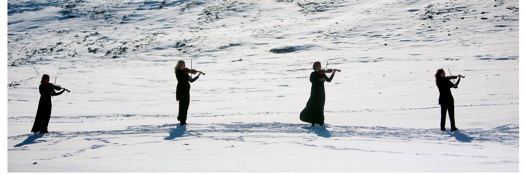 Arktisk Filharmoni (Arctic Phil.) banner