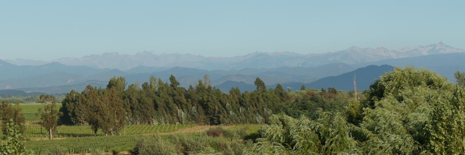 Ninoskagh's profile banner image
