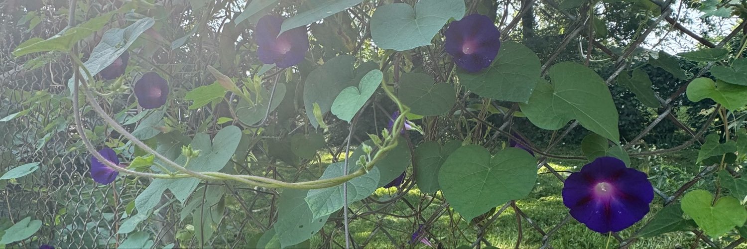 marisovereign's profile banner image