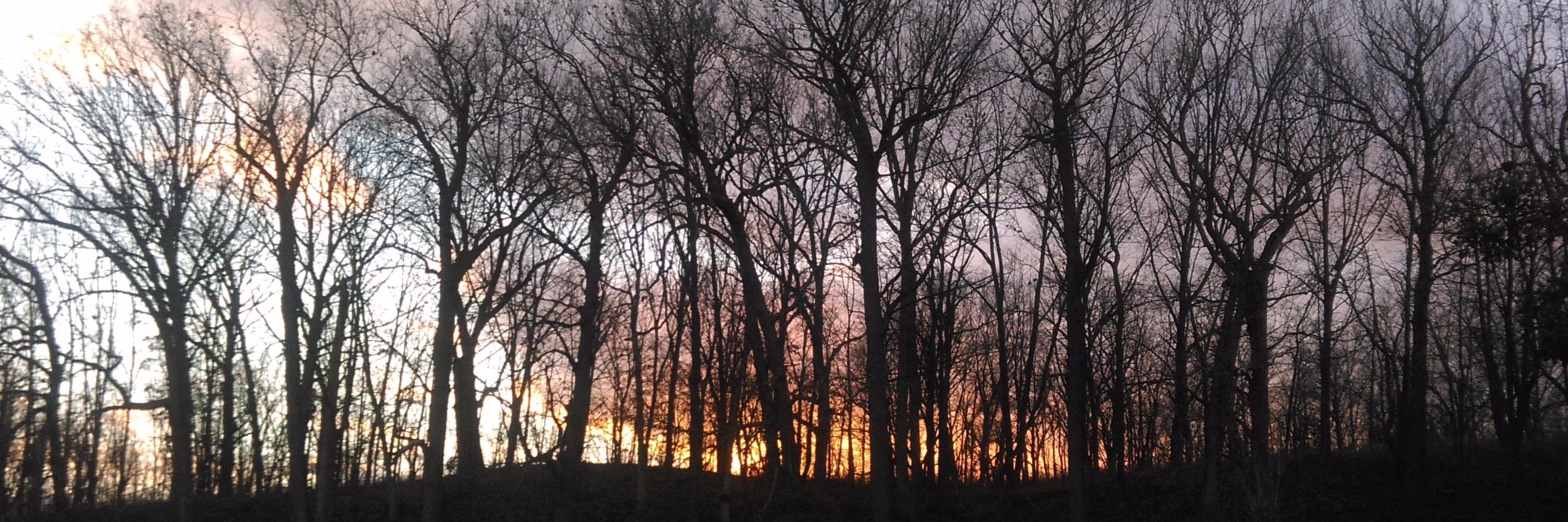 AlexandraRiv's profile banner image