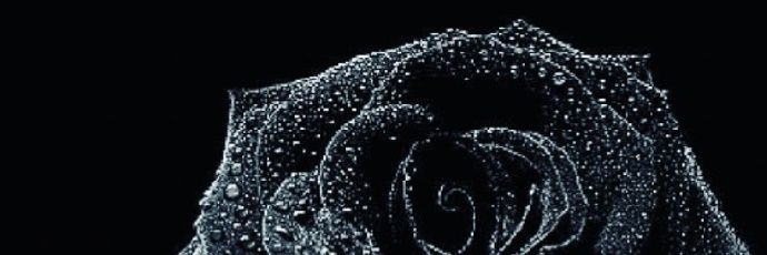 ridwayne411's profile banner image