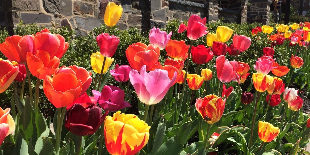 ColleenBrach's profile banner image
