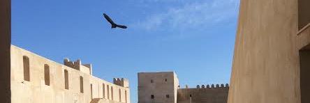 Antoine Guélaud banner