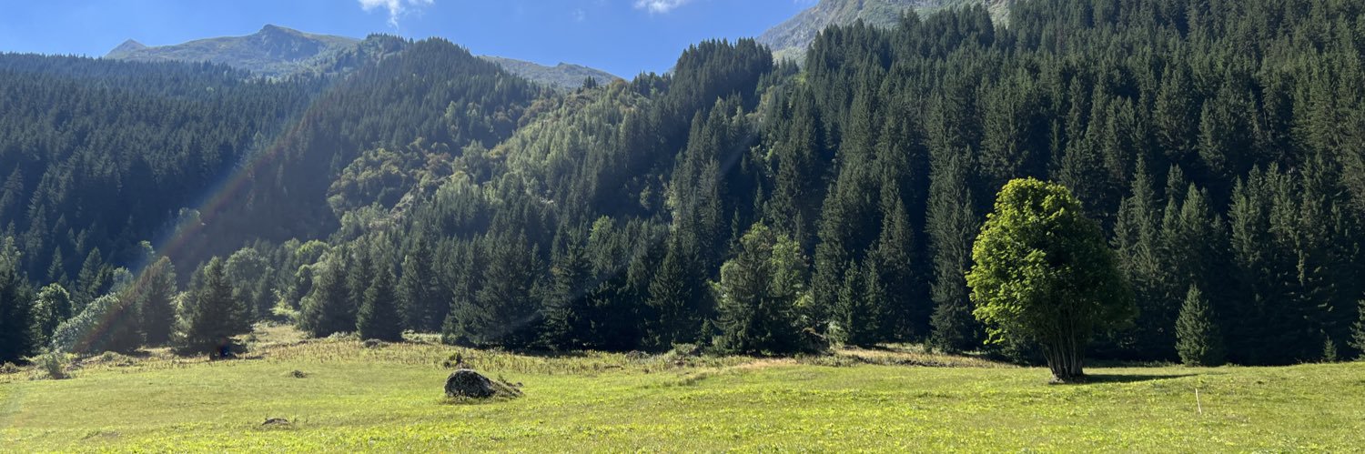 Fmanfer's profile banner image