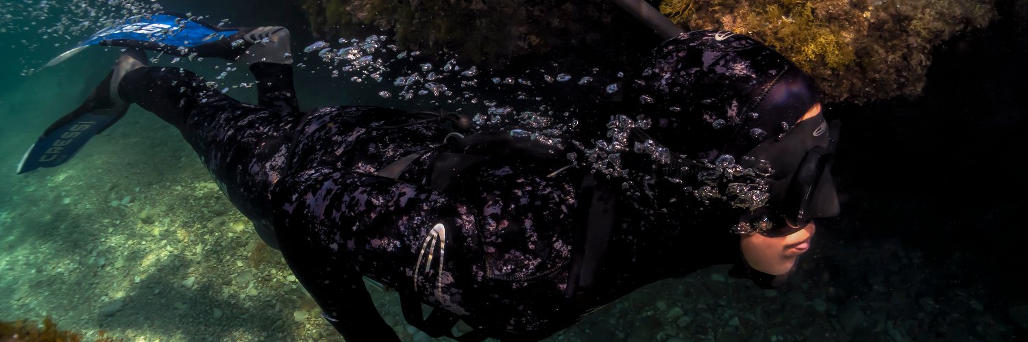 RevistaApnea's profile banner image