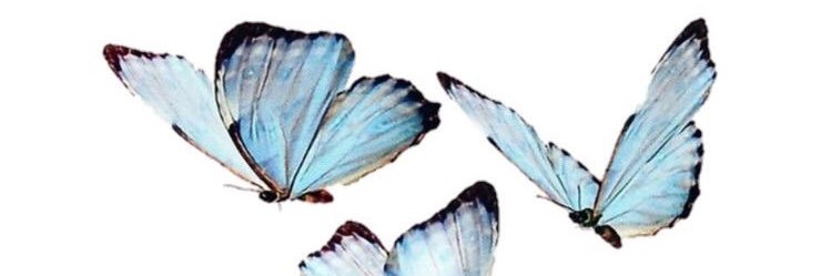 Keily0214's profile banner image