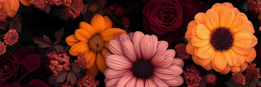 Addy24c's profile banner image