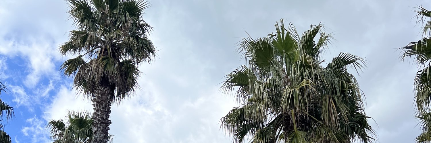 miactorres's profile banner image