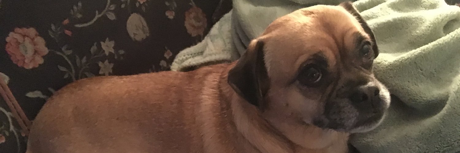 Andy Collins ⚾️ banner