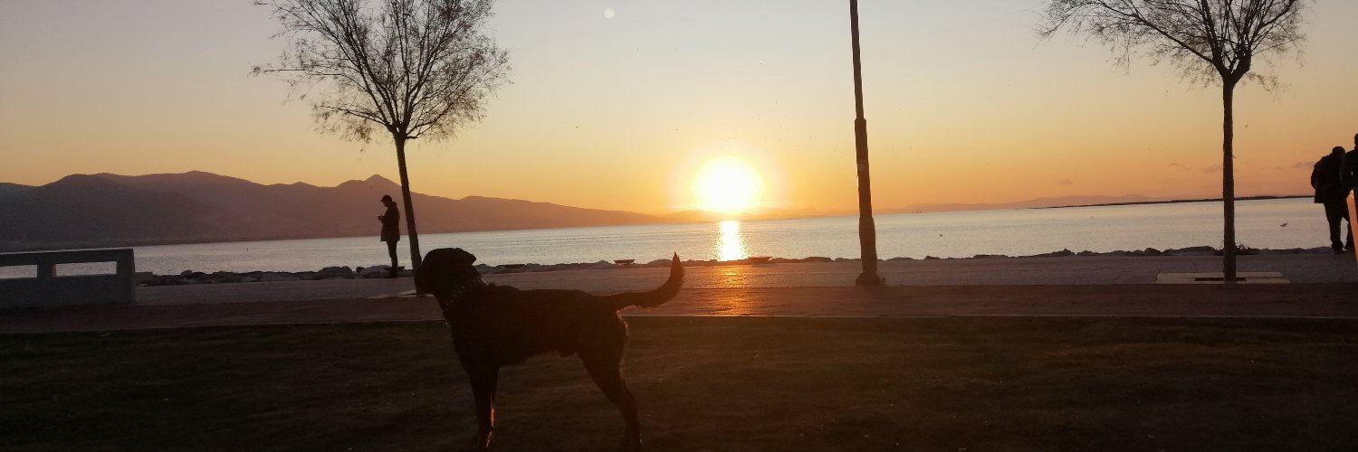 HavvaKolu's profile banner image