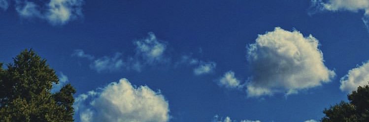 Dubindrd's profile banner image