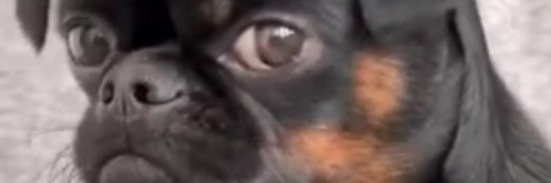 csamuel27's profile banner image