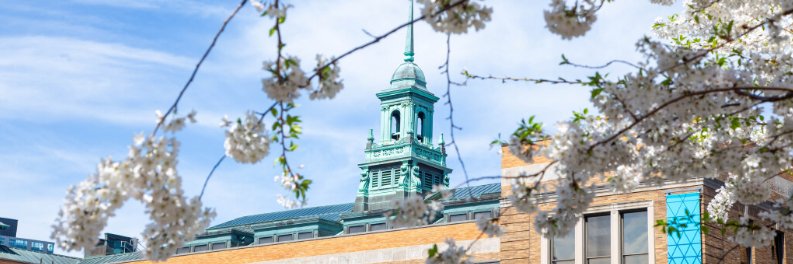 SimmonsCEC's profile banner image