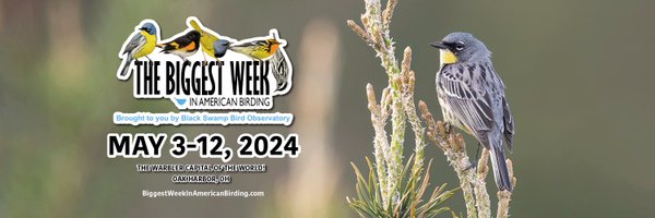 BiggestWeek Profile Banner