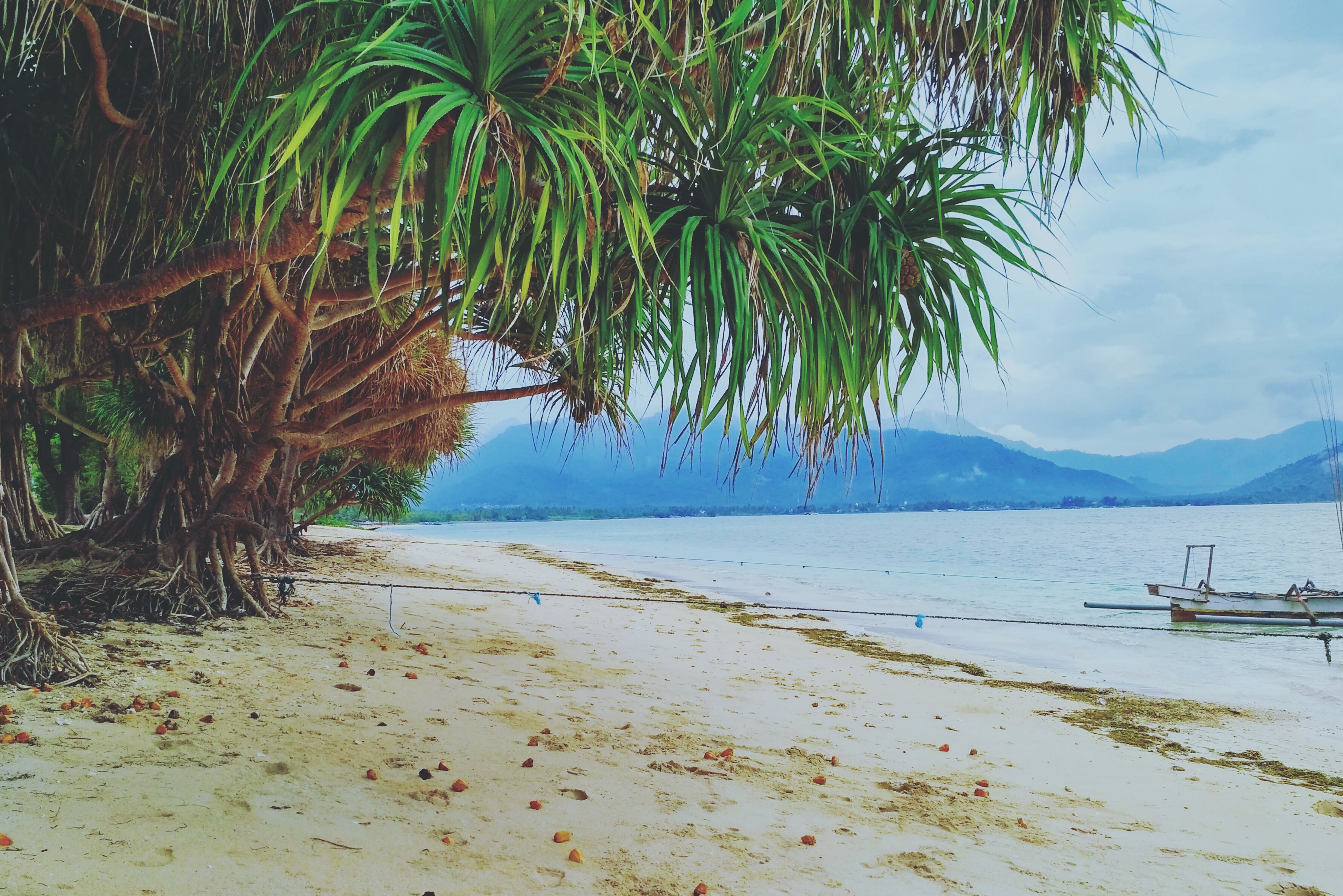 Wayan_Agus_'s profile banner image