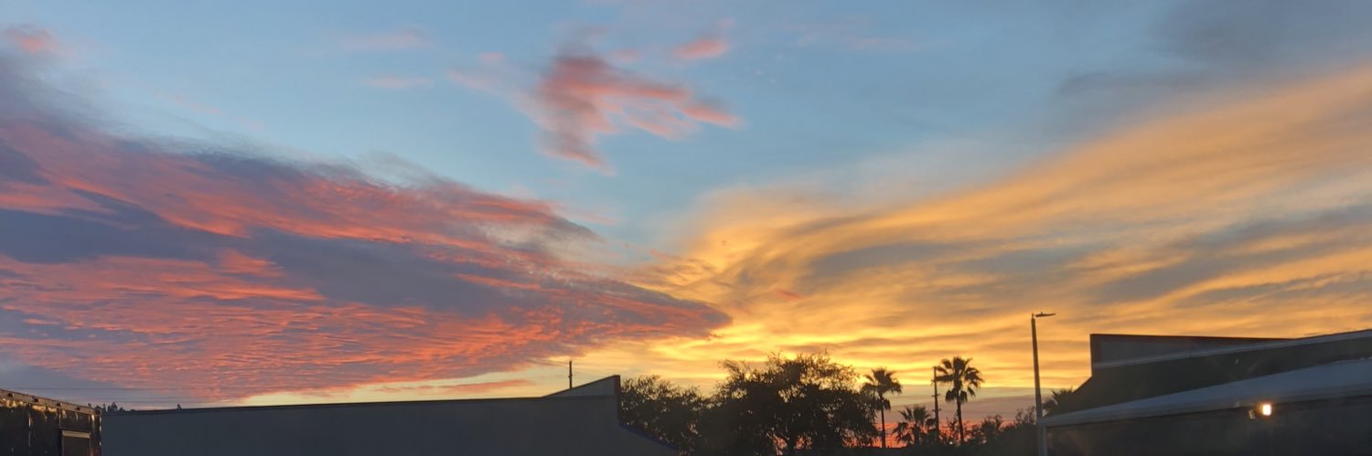 VirtualyStoopid's profile banner image