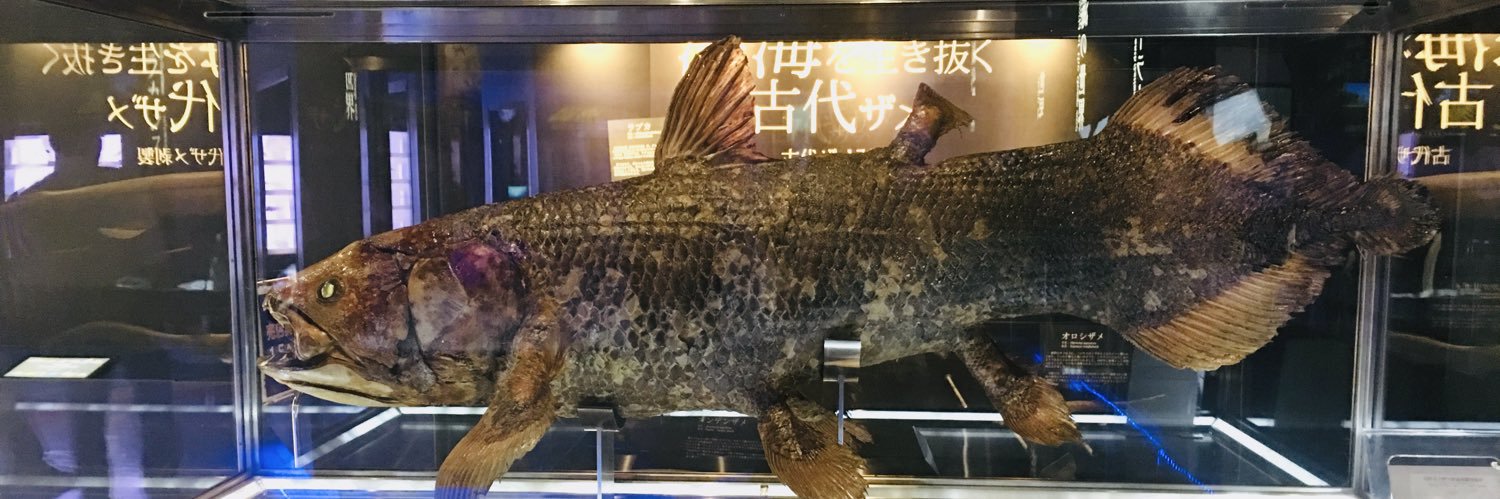 🐾🌟犬神徹夜🌟🐾ホワイトグレース banner