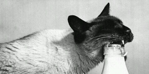 Dimka_Knyaz's profile banner image
