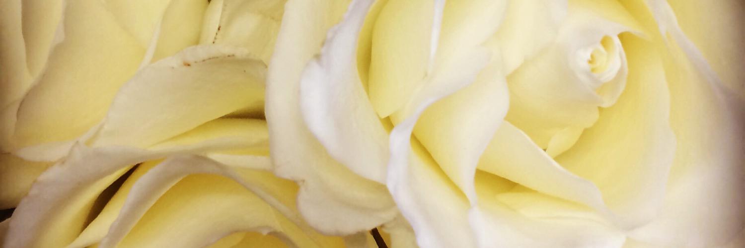 ladyfromVT's profile banner image