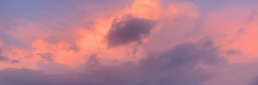 madelinehislop's profile banner image