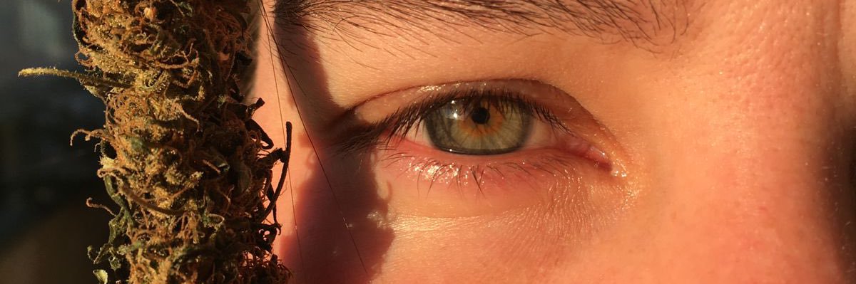 kelli_scatolin's profile banner image