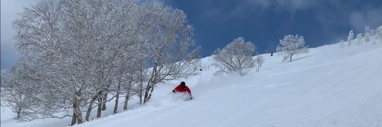 Jack Williams banner